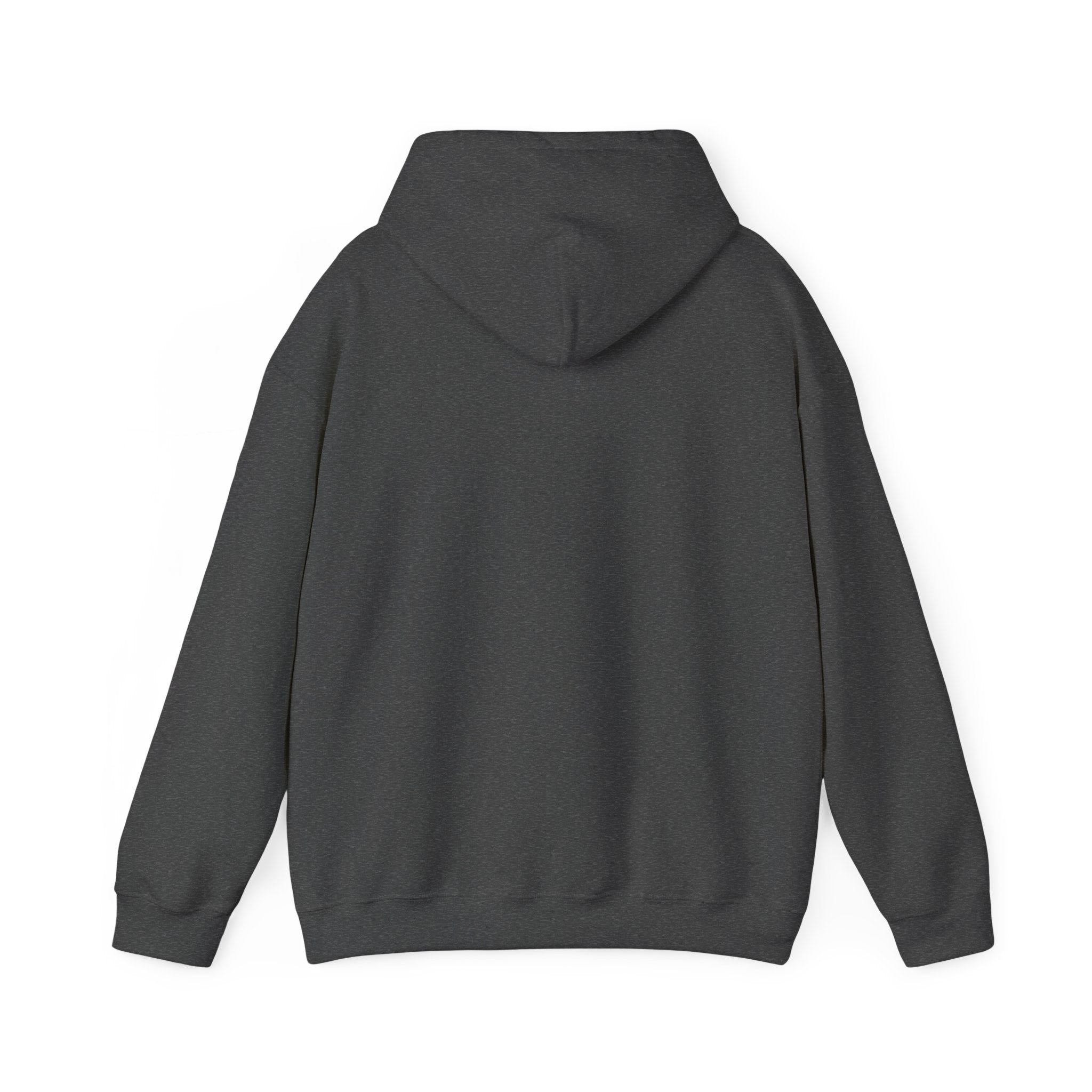Gymnast Back Handspring Hoodie Adult
